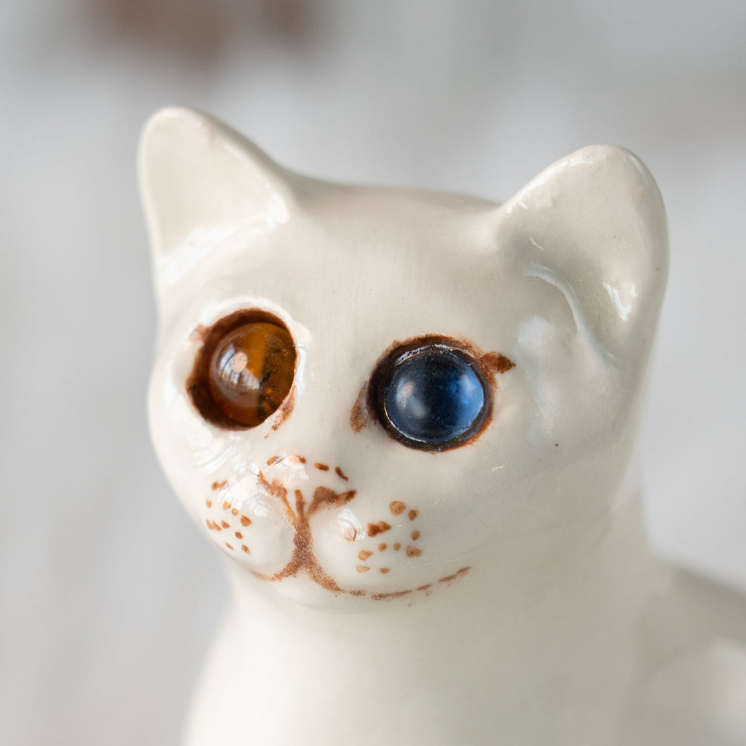 【Winstanley Cat ウィンスタンレイ キャット】穏やかで柔らかな表情に心惹かれる オッドアイ スノーウィ 白猫 /25L