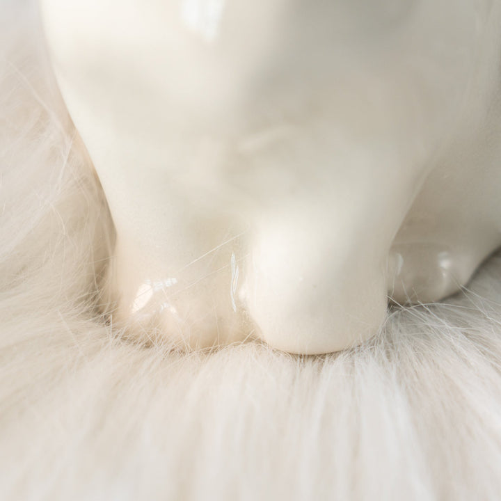 【Winstanley Cat ウィンスタンレイ キャット】穏やかで柔らかな表情に心惹かれる オッドアイ スノーウィ 白猫 /25L