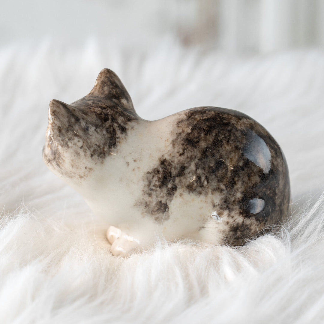 【Winstanley Cat ウィンスタンレイ キャット】じっとこちらを窺うような表情が印象的 シルバータビー サバトラ猫 /25L-B