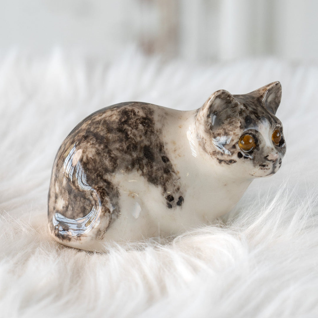 【Winstanley Cat ウィンスタンレイ キャット】じっとこちらを窺うような表情が印象的 シルバータビー サバトラ猫 /25L-B
