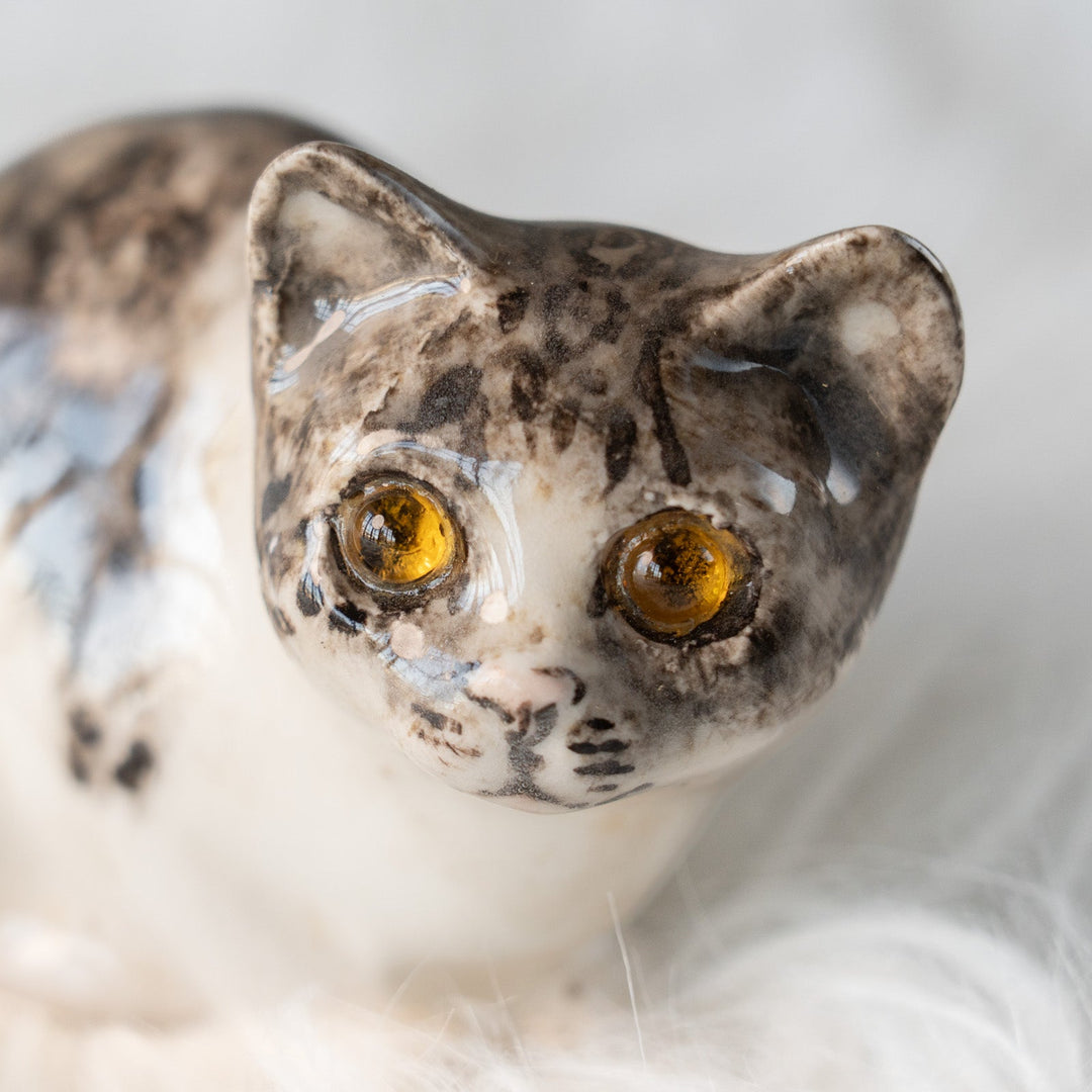 【Winstanley Cat ウィンスタンレイ キャット】じっとこちらを窺うような表情が印象的 シルバータビー サバトラ猫 /25L-B