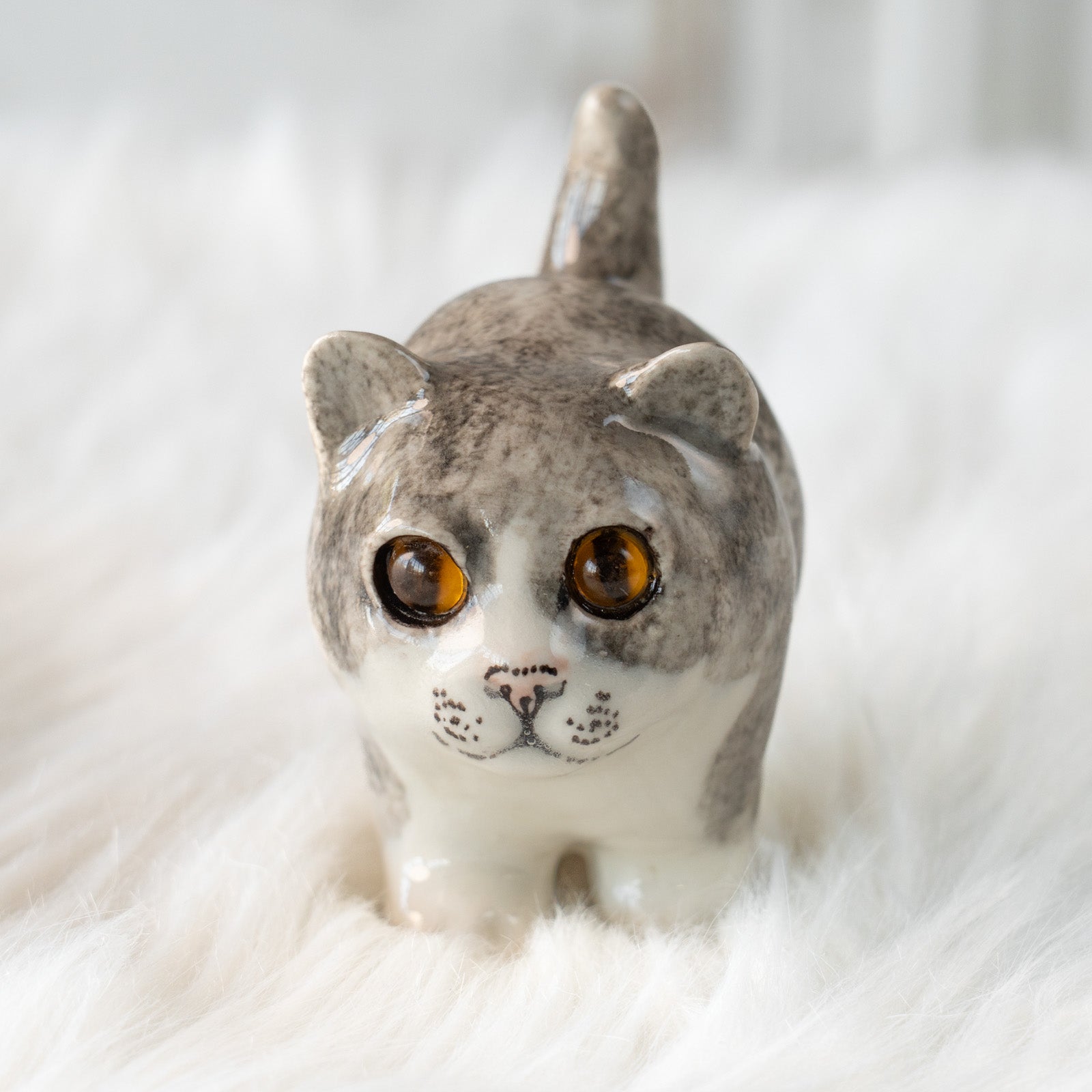 Winstanley Cat ウィンスタンレイ キャット】コロコロとしたまん丸