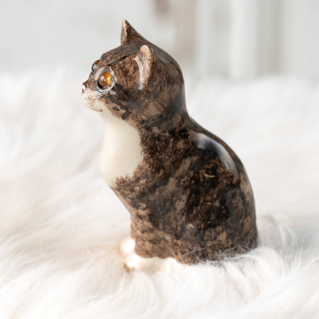 【Winstanley Cat ウィンスタンレイ キャット】まん丸お目目が特徴的 ブラウンタビー キジトラ猫 /25L