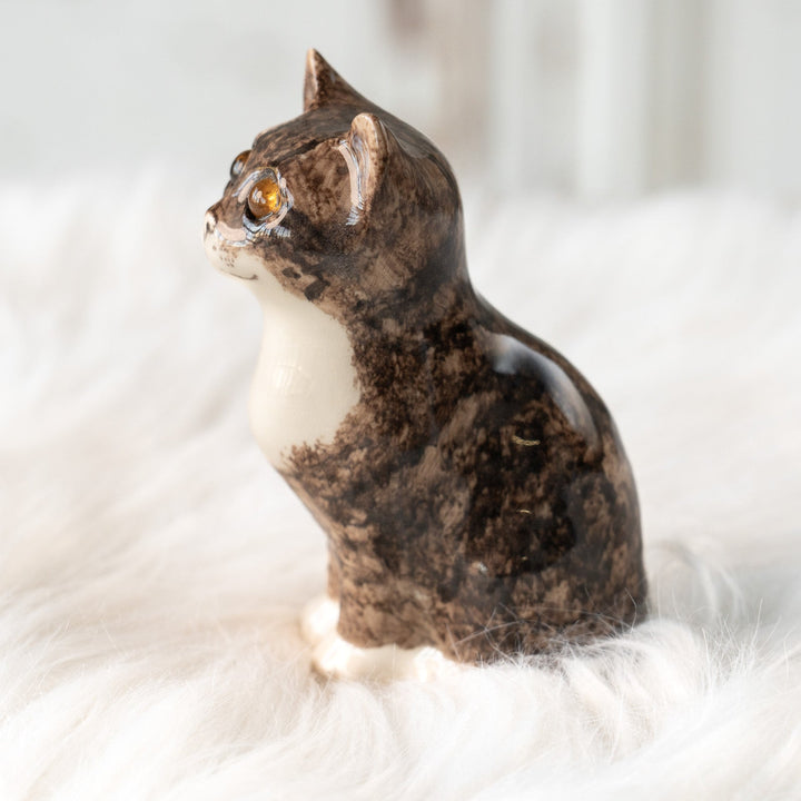 【Winstanley Cat ウィンスタンレイ キャット】まん丸お目目が特徴的 ブラウンタビー キジトラ猫 /25L