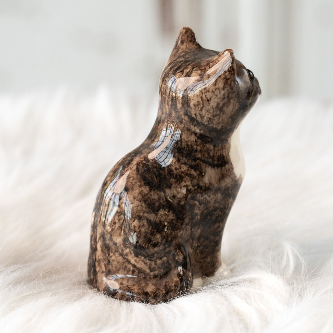 【Winstanley Cat ウィンスタンレイ キャット】まん丸お目目が特徴的 ブラウンタビー キジトラ猫 /25L
