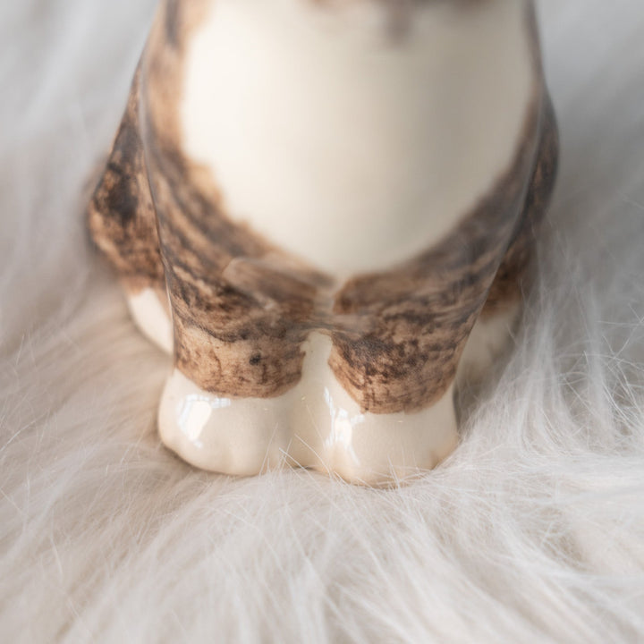 【Winstanley Cat ウィンスタンレイ キャット】まん丸お目目が特徴的 ブラウンタビー キジトラ猫 /25L