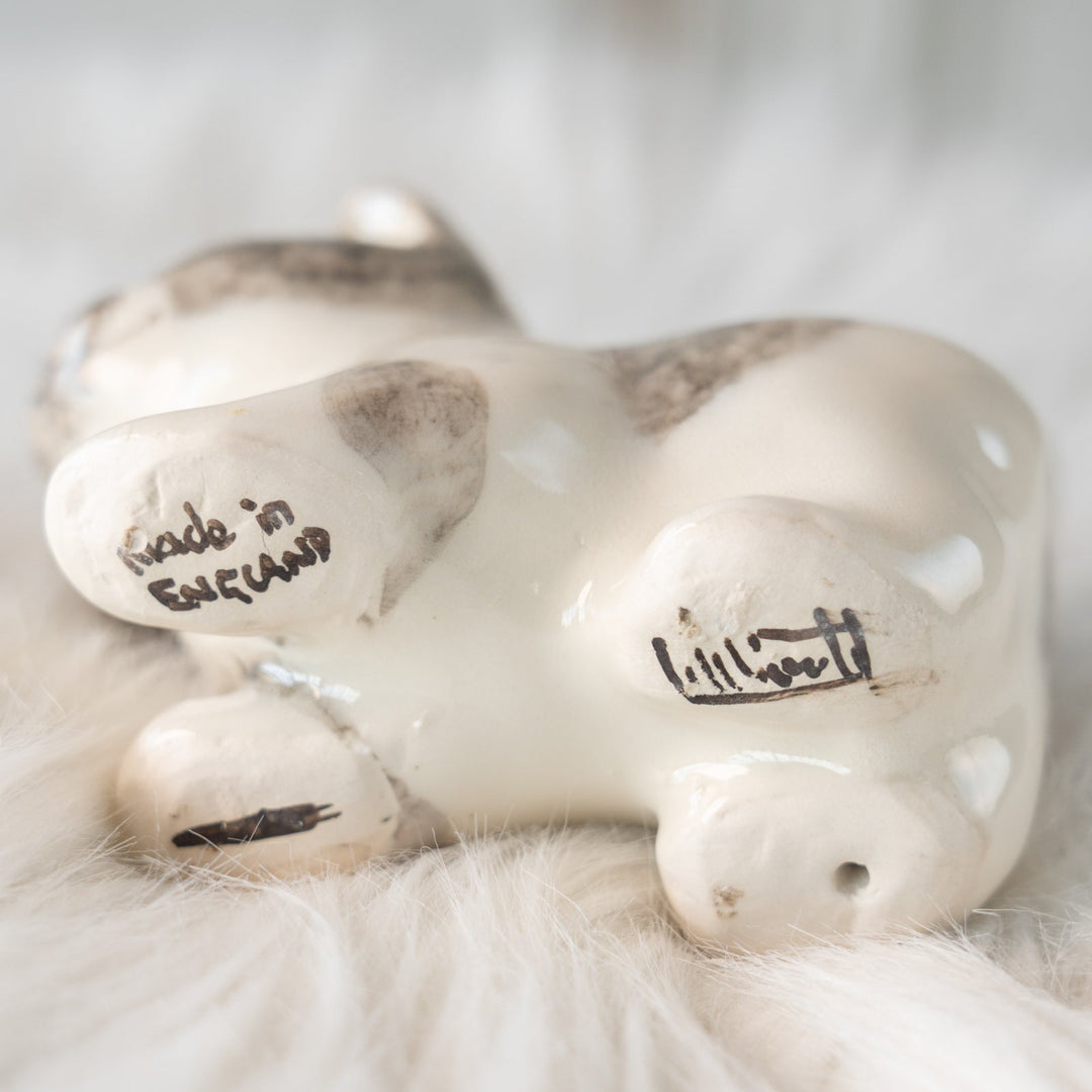 【Winstanley Cat ウィンスタンレイ キャット】クリームパンの様な手が愛らしい ハートマーク バイカラー ブチ猫 /25L