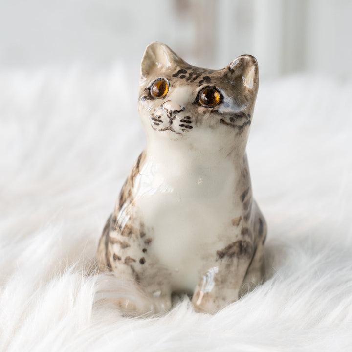 【Winstanley Cat ウィンスタンレイ キャット】独特の顔立ちとフォルムが愛おしい シルバータビー サバトラ猫 /25L