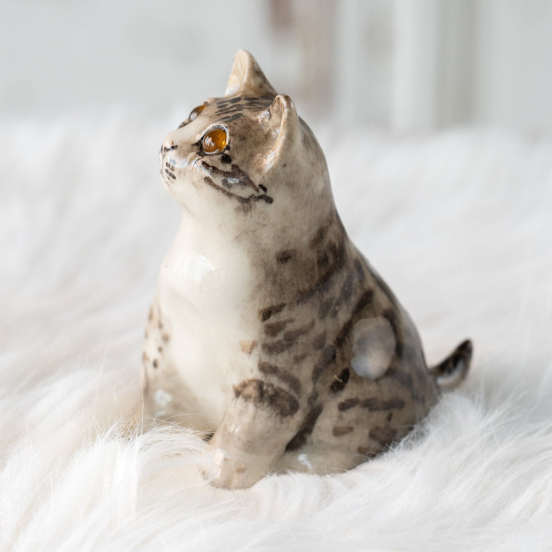 【Winstanley Cat ウィンスタンレイ キャット】独特の顔立ちとフォルムが愛おしい シルバータビー サバトラ猫 /25L