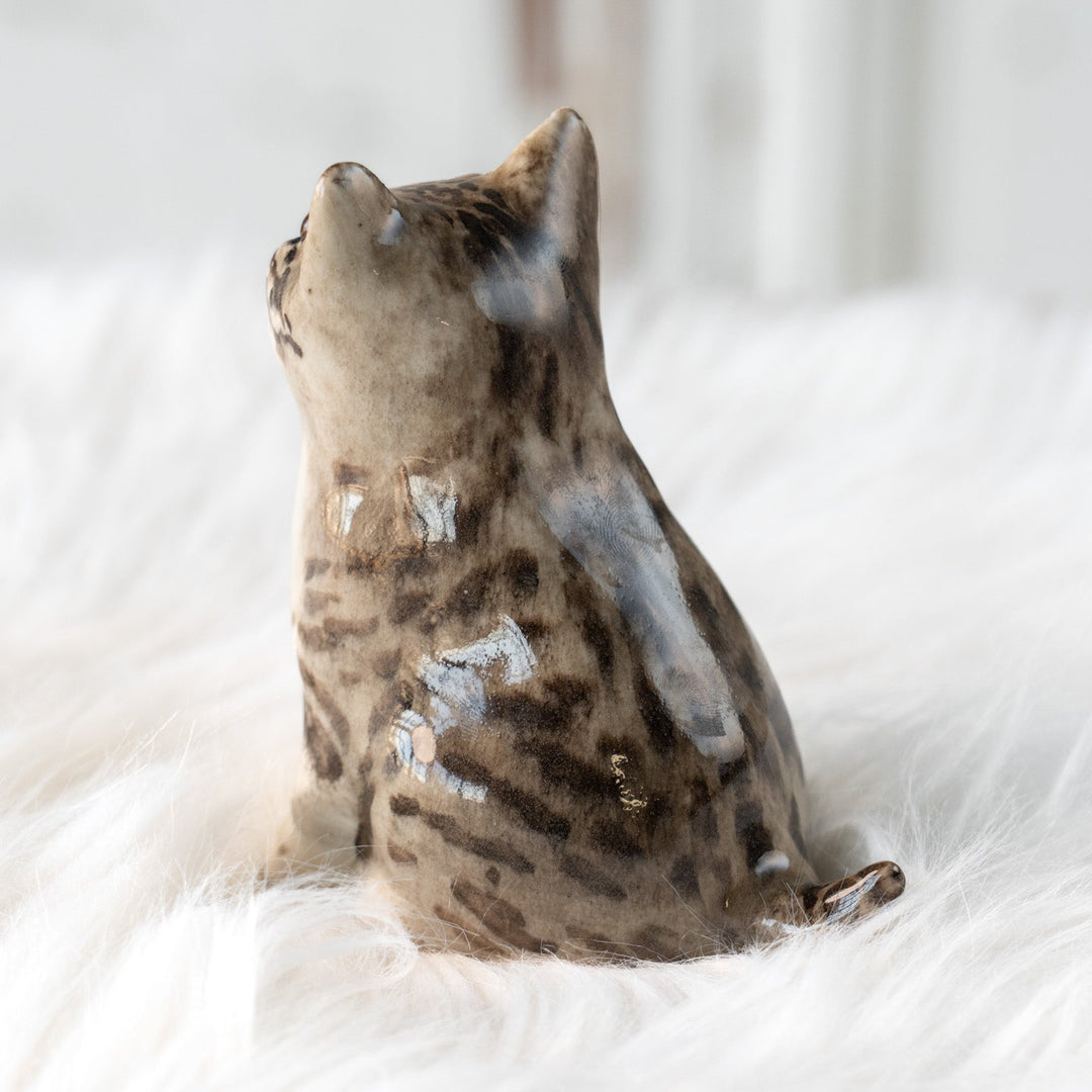 【Winstanley Cat ウィンスタンレイ キャット】独特の顔立ちとフォルムが愛おしい シルバータビー サバトラ猫 /25L