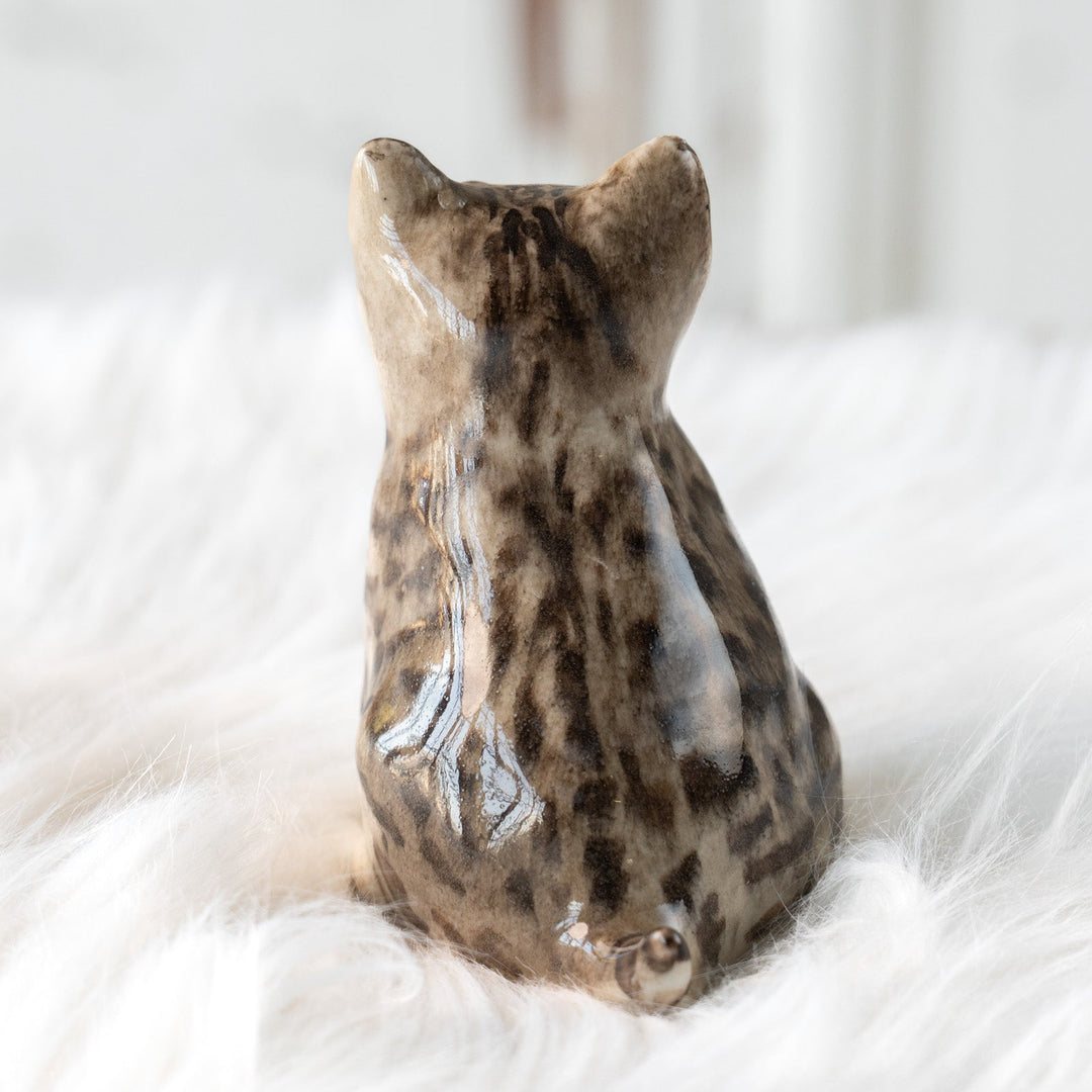 【Winstanley Cat ウィンスタンレイ キャット】独特の顔立ちとフォルムが愛おしい シルバータビー サバトラ猫 /25L