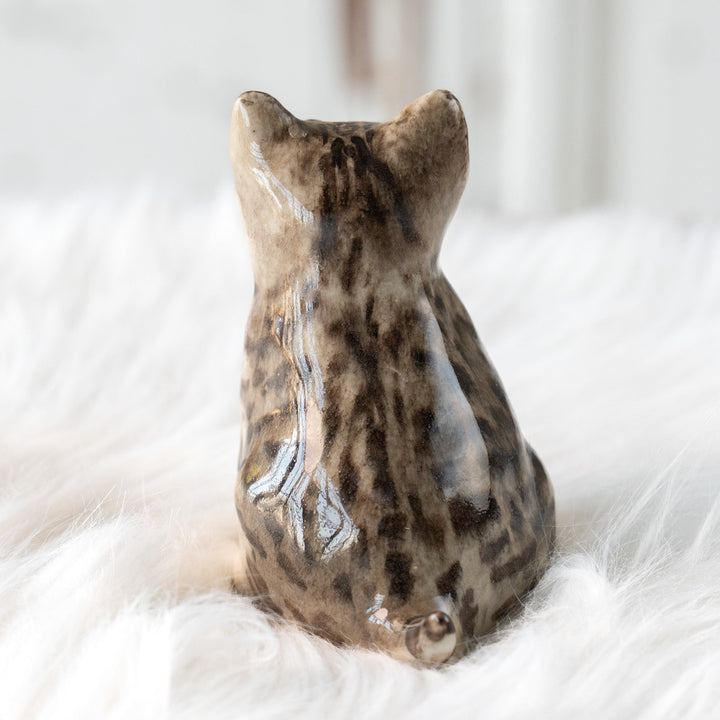 【Winstanley Cat ウィンスタンレイ キャット】独特の顔立ちとフォルムが愛おしい シルバータビー サバトラ猫 /25L