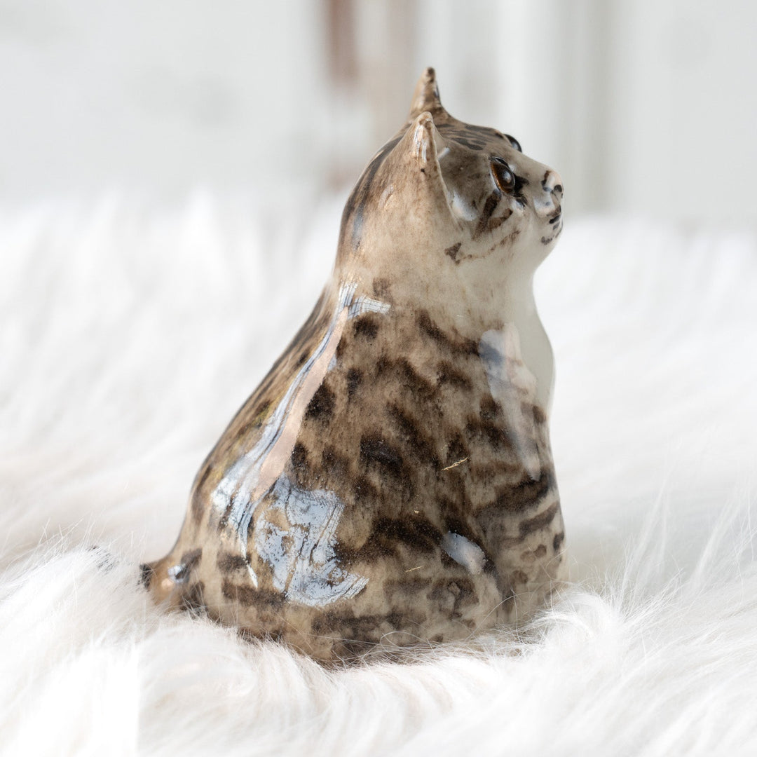 【Winstanley Cat ウィンスタンレイ キャット】独特の顔立ちとフォルムが愛おしい シルバータビー サバトラ猫 /25L