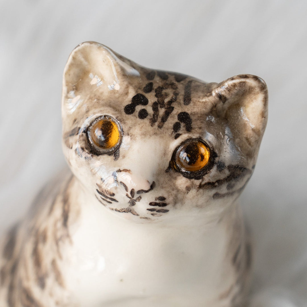 【Winstanley Cat ウィンスタンレイ キャット】独特の顔立ちとフォルムが愛おしい シルバータビー サバトラ猫 /25L