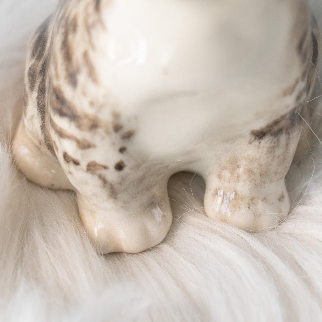 【Winstanley Cat ウィンスタンレイ キャット】独特の顔立ちとフォルムが愛おしい シルバータビー サバトラ猫 /25L