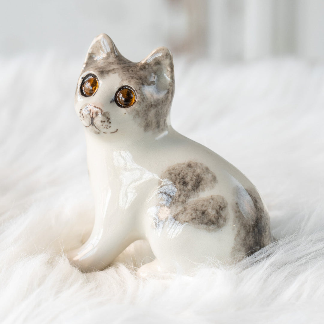 【Winstanley Cat ウィンスタンレイ キャット】大きくつぶらな瞳でこちらを見つめる シルバータビー サバトラ猫 /25L