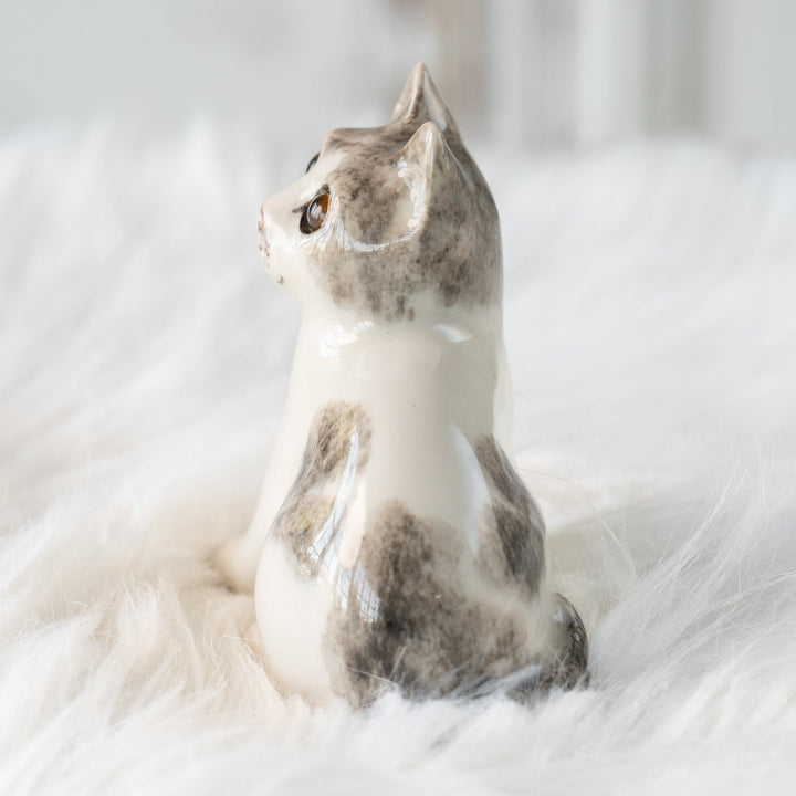 【Winstanley Cat ウィンスタンレイ キャット】大きくつぶらな瞳でこちらを見つめる シルバータビー サバトラ猫 /25L