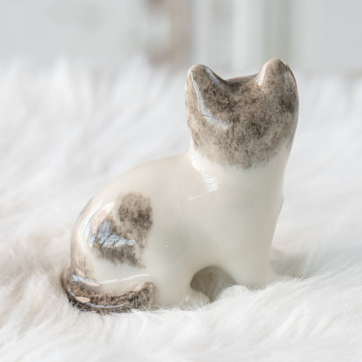 【Winstanley Cat ウィンスタンレイ キャット】大きくつぶらな瞳でこちらを見つめる シルバータビー サバトラ猫 /25L