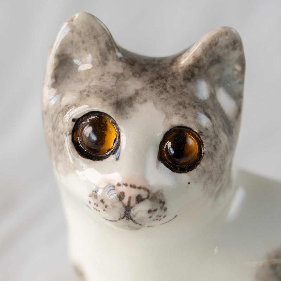 【Winstanley Cat ウィンスタンレイ キャット】大きくつぶらな瞳でこちらを見つめる シルバータビー サバトラ猫 /25L