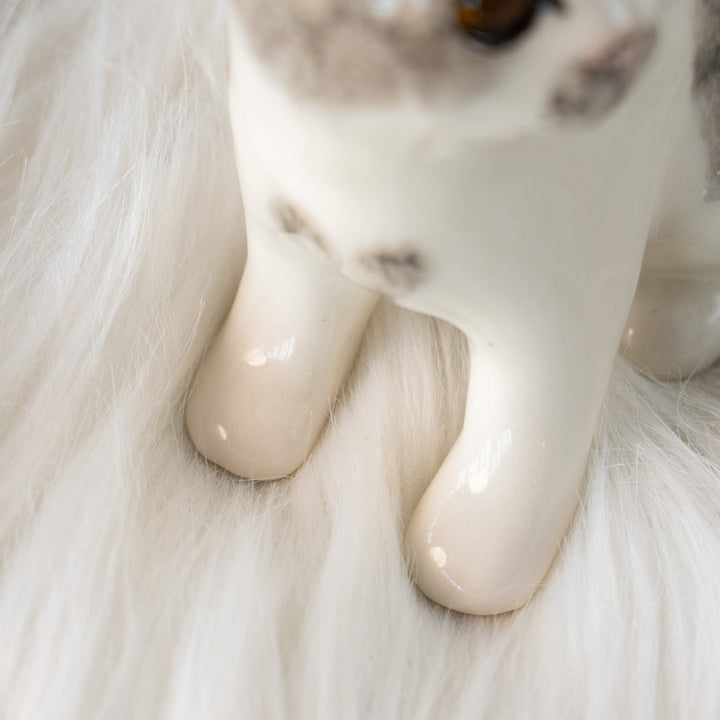 【Winstanley Cat ウィンスタンレイ キャット】大きくつぶらな瞳でこちらを見つめる シルバータビー サバトラ猫 /25L