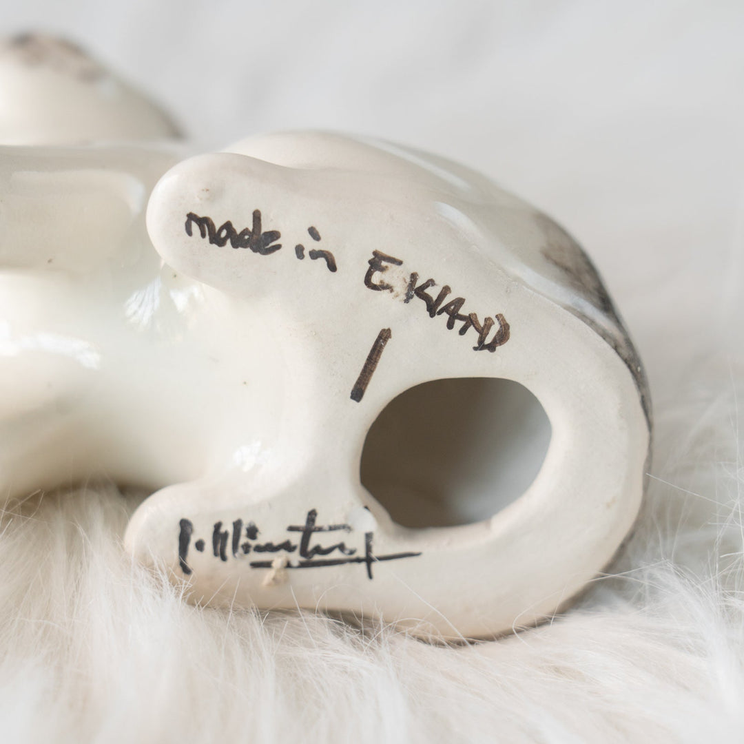 【Winstanley Cat ウィンスタンレイ キャット】大きくつぶらな瞳でこちらを見つめる シルバータビー サバトラ猫 /25L