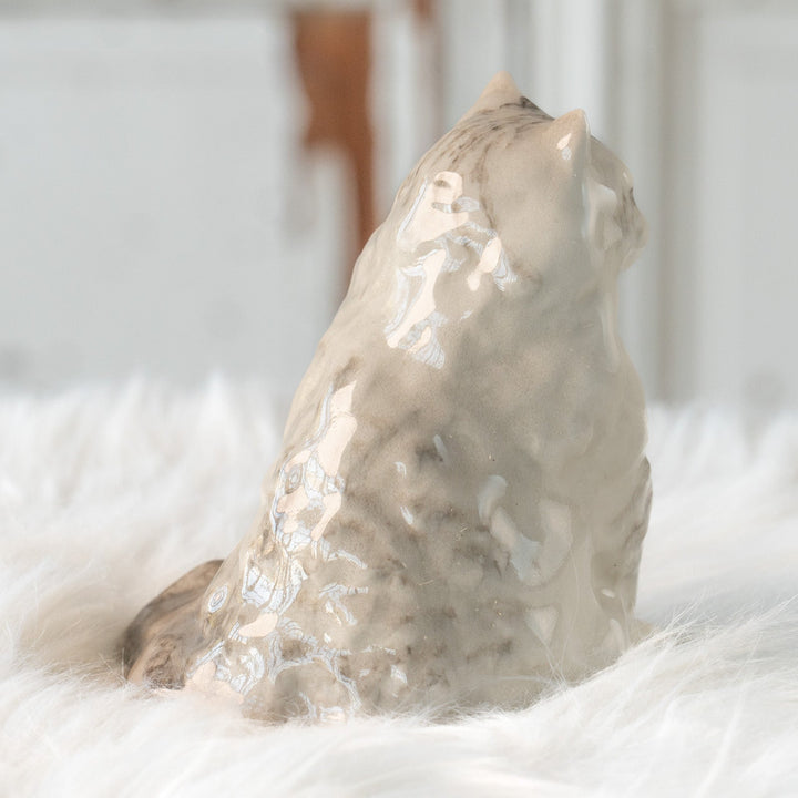 【Winstanley Cat ウィンスタンレイ キャット】ふわふわのぬいぐるみの様な愛らしさ ブルーアイ ラグドール 長毛猫 /25L-A