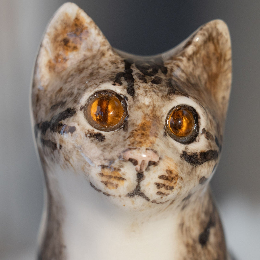 【Winstanley Cat ウィンスタンレイ キャット】チラリとこちらを気にする表情が印象的 シルバータビー サバトラ猫 /25L