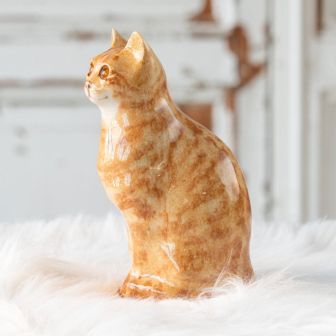 【Winstanley Cat ウィンスタンレイ キャット】ピンと立った耳がチャーミング ジンジャー 茶トラ猫