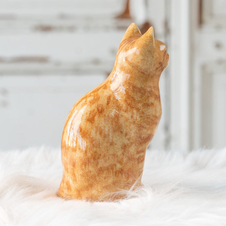 【Winstanley Cat ウィンスタンレイ キャット】ピンと立った耳がチャーミング ジンジャー 茶トラ猫