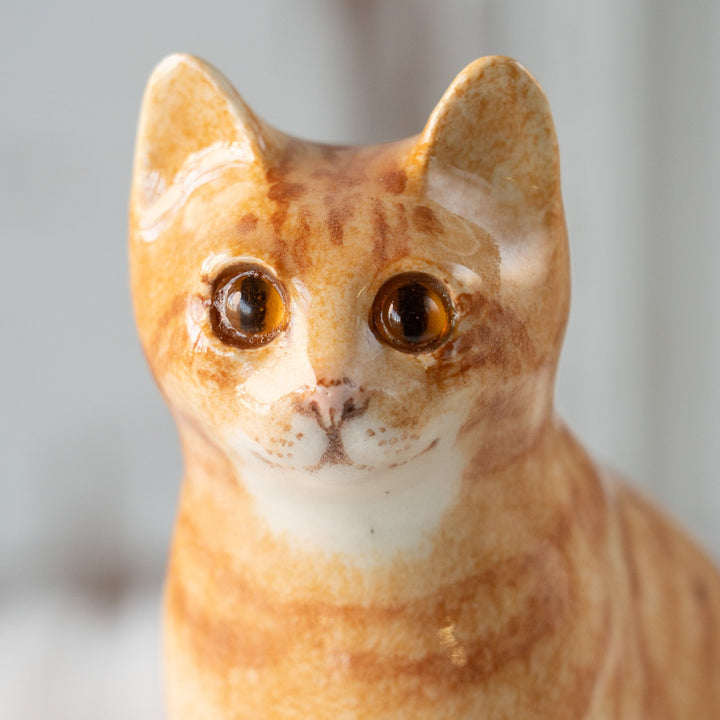 【Winstanley Cat ウィンスタンレイ キャット】ピンと立った耳がチャーミング ジンジャー 茶トラ猫