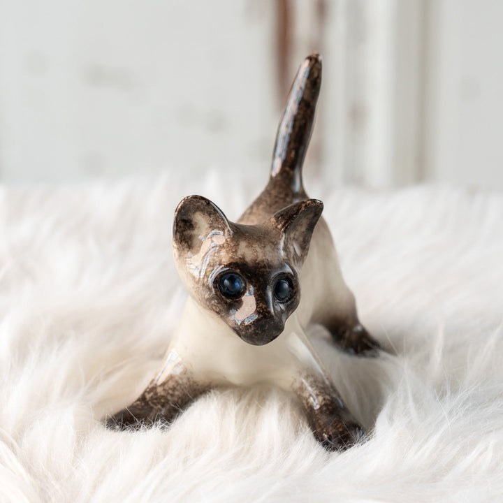 【Winstanley Cat ウィンスタンレイ キャット】ピンと伸びた尻尾や脚が元気いっぱい ブルーアイ サイアミーズ シャム猫 /25L