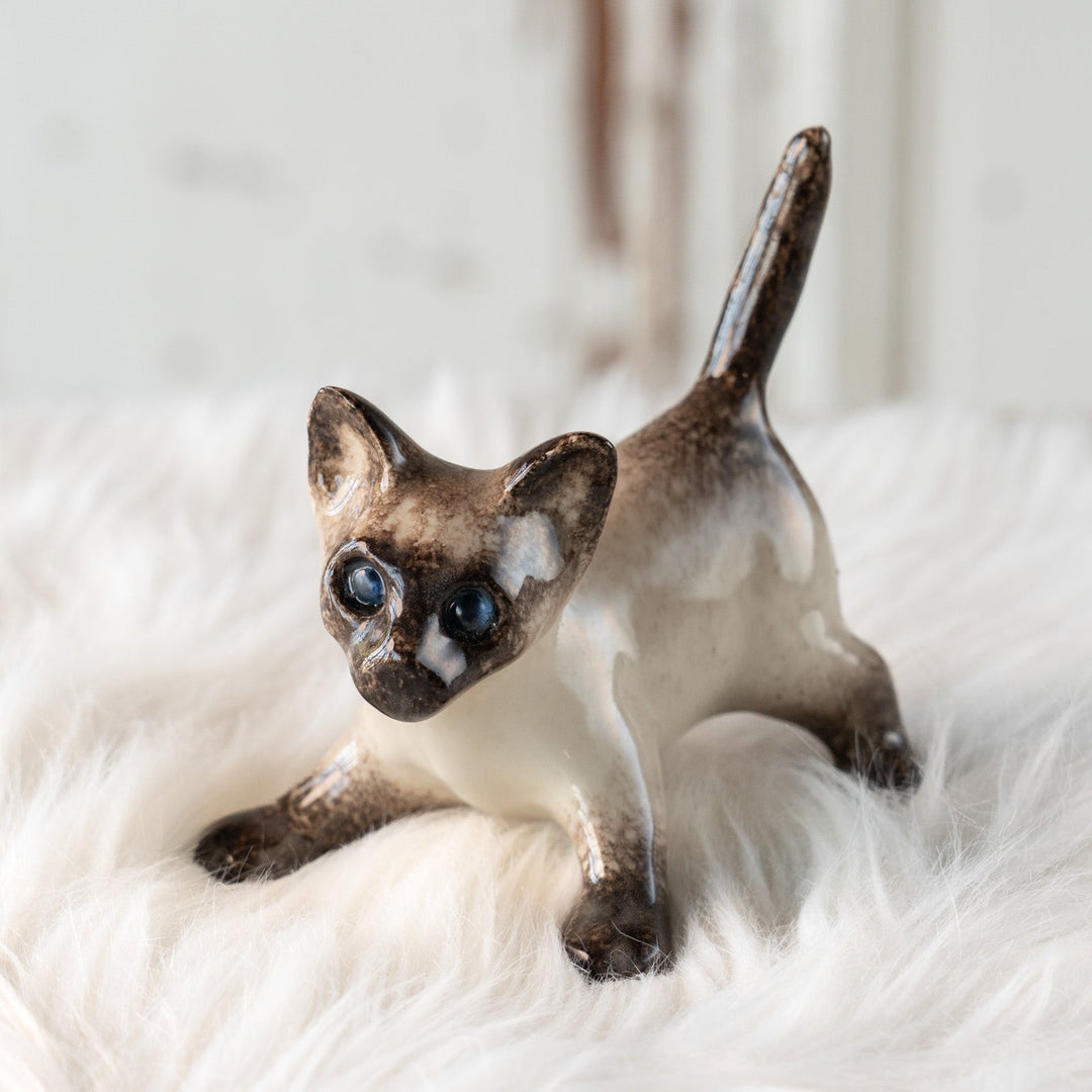 【Winstanley Cat ウィンスタンレイ キャット】ピンと伸びた尻尾や脚が元気いっぱい ブルーアイ サイアミーズ シャム猫 /25L