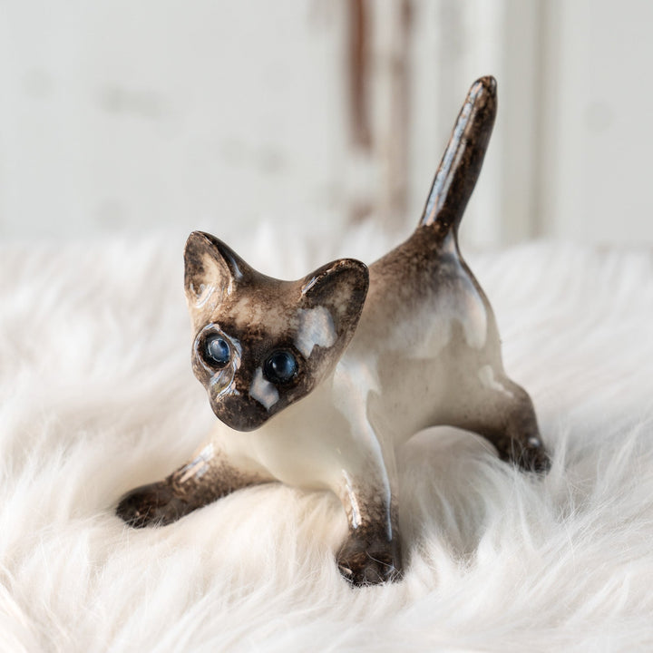 【Winstanley Cat ウィンスタンレイ キャット】ピンと伸びた尻尾や脚が元気いっぱい ブルーアイ サイアミーズ シャム猫 /25L