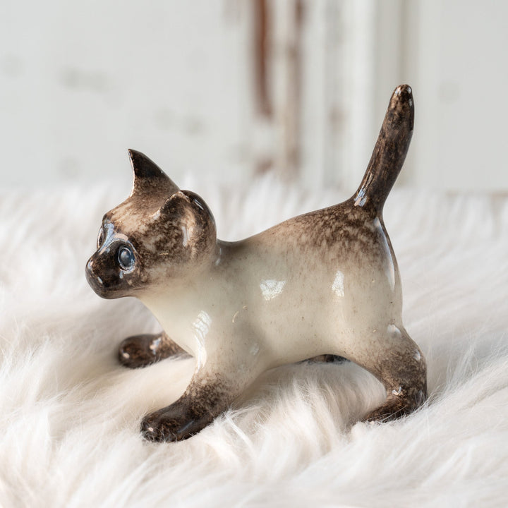 【Winstanley Cat ウィンスタンレイ キャット】ピンと伸びた尻尾や脚が元気いっぱい ブルーアイ サイアミーズ シャム猫 /25L