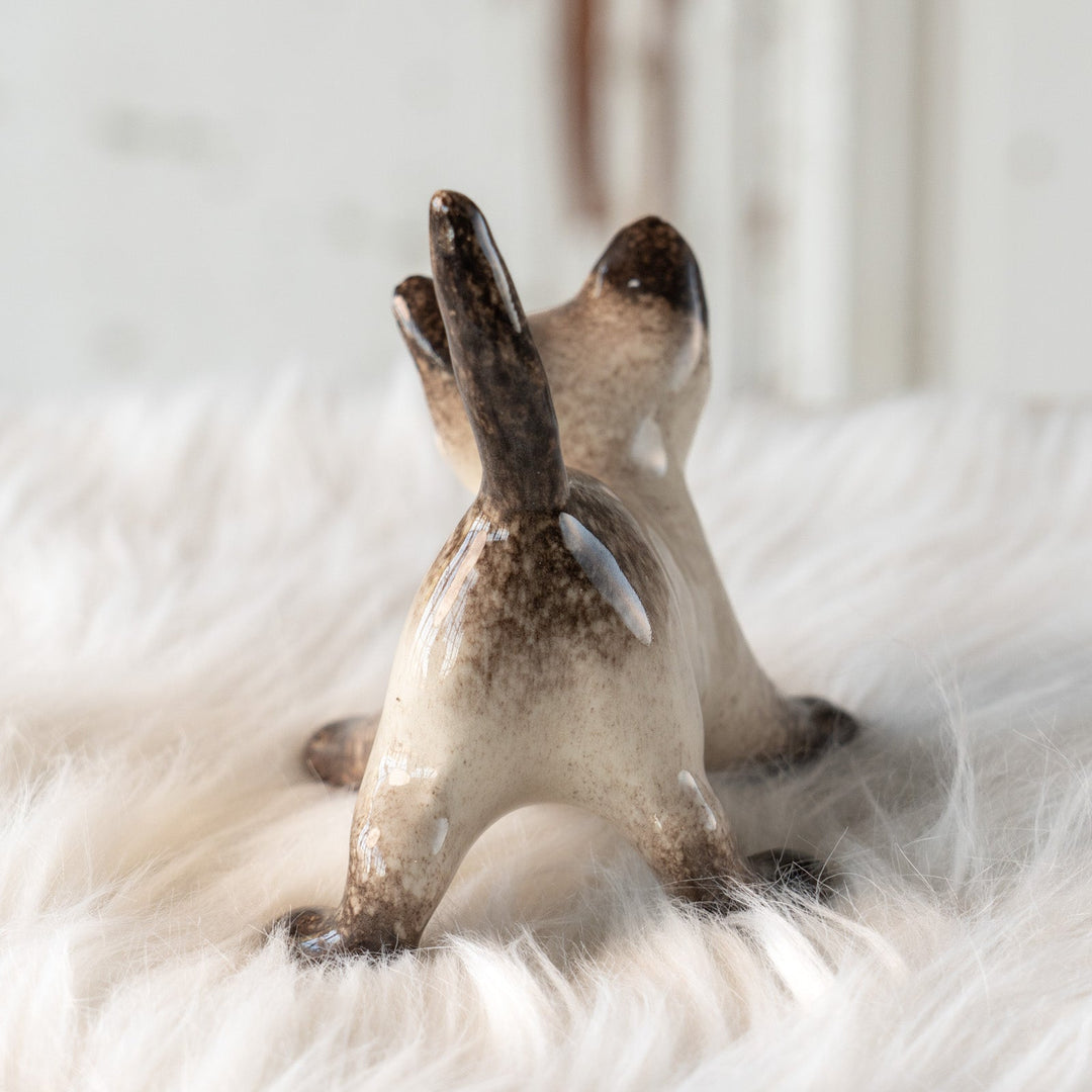 【Winstanley Cat ウィンスタンレイ キャット】ピンと伸びた尻尾や脚が元気いっぱい ブルーアイ サイアミーズ シャム猫 /25L