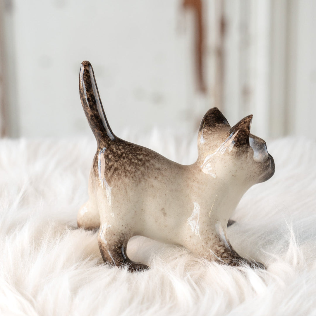 【Winstanley Cat ウィンスタンレイ キャット】ピンと伸びた尻尾や脚が元気いっぱい ブルーアイ サイアミーズ シャム猫 /25L