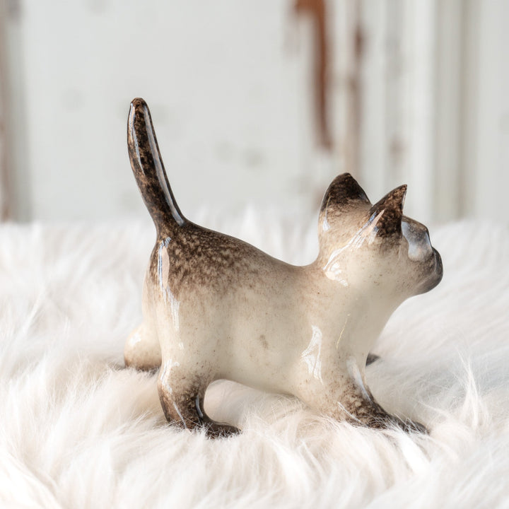 【Winstanley Cat ウィンスタンレイ キャット】ピンと伸びた尻尾や脚が元気いっぱい ブルーアイ サイアミーズ シャム猫 /25L