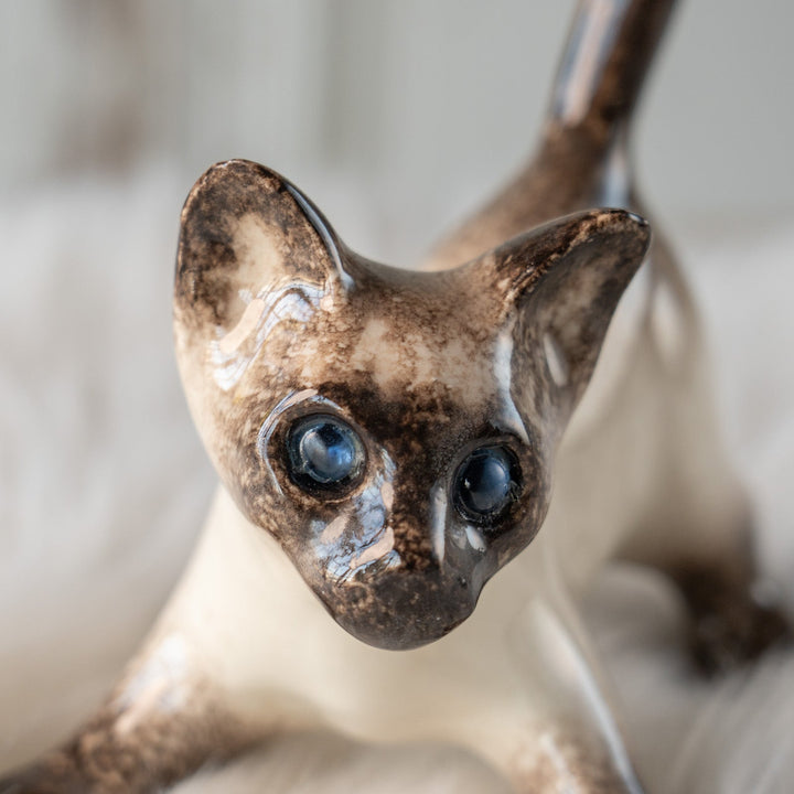 【Winstanley Cat ウィンスタンレイ キャット】ピンと伸びた尻尾や脚が元気いっぱい ブルーアイ サイアミーズ シャム猫 /25L