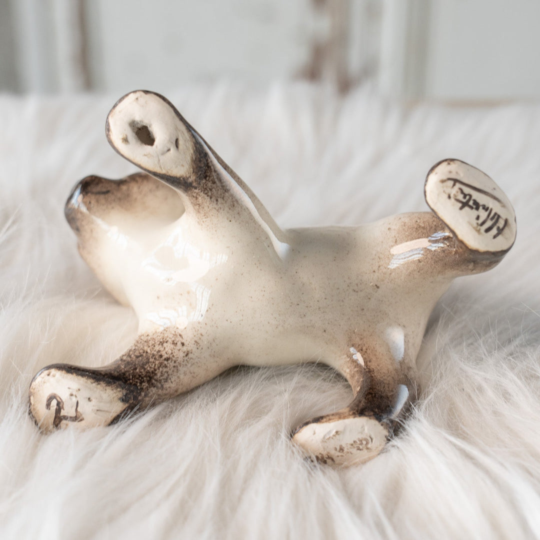 【Winstanley Cat ウィンスタンレイ キャット】ピンと伸びた尻尾や脚が元気いっぱい ブルーアイ サイアミーズ シャム猫 /25L