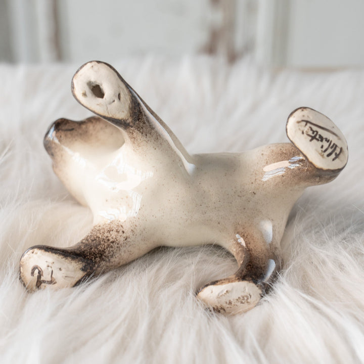 【Winstanley Cat ウィンスタンレイ キャット】ピンと伸びた尻尾や脚が元気いっぱい ブルーアイ サイアミーズ シャム猫 /25L