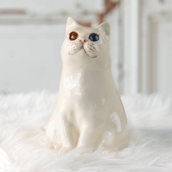 【Winstanley Cat ウィンスタンレイ キャット】どっしりしたフォルムがたまらない可愛さ オッドアイ スノーウィ 白猫 /25L-B