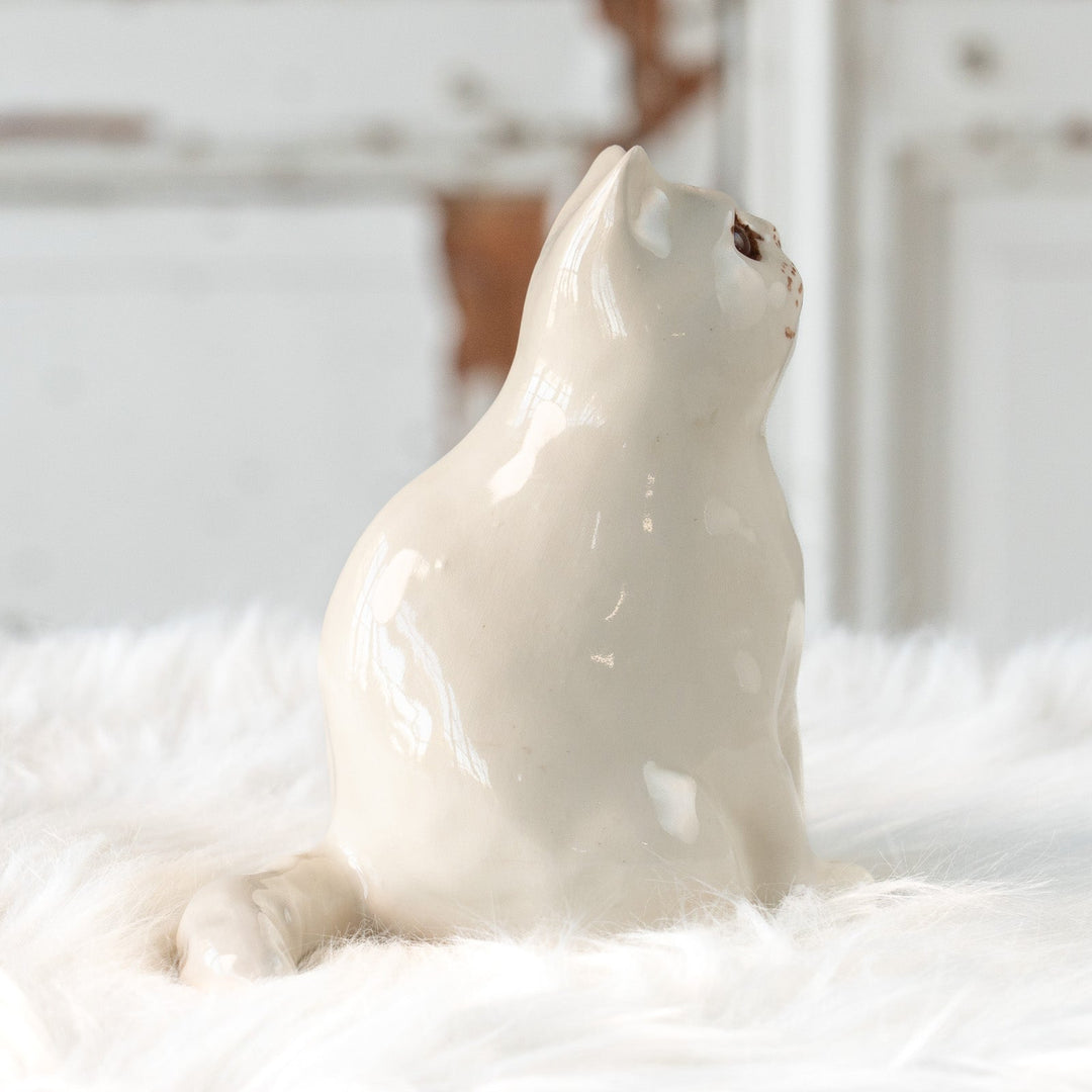 【Winstanley Cat ウィンスタンレイ キャット】どっしりしたフォルムがたまらない可愛さ オッドアイ スノーウィ 白猫 /25L-B