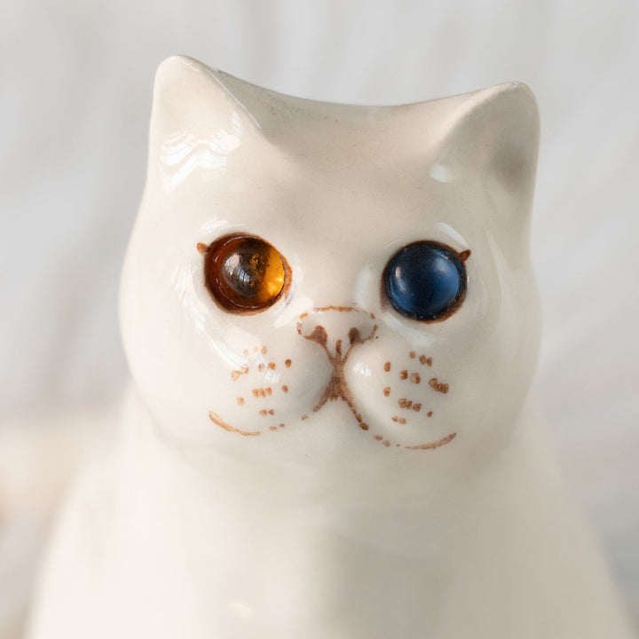 【Winstanley Cat ウィンスタンレイ キャット】どっしりしたフォルムがたまらない可愛さ オッドアイ スノーウィ 白猫 /25L-B