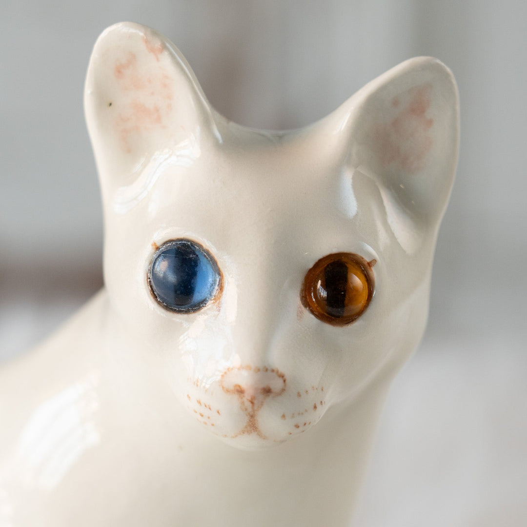 【Winstanley Cat ウィンスタンレイ キャット】すらりとしたフォルムが優雅 オッドアイ スノーウィ 白猫 /25L