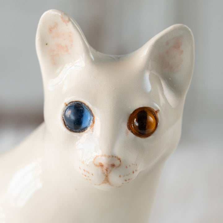 【Winstanley Cat ウィンスタンレイ キャット】すらりとしたフォルムが優雅 オッドアイ スノーウィ 白猫 /25L