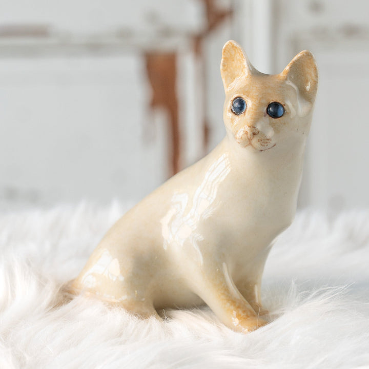 【Winstanley Cat ウィンスタンレイ キャット】すらりとしたフォルムが優雅 ブルーアイ レッドポイント サイアミーズ シャム猫 /25L