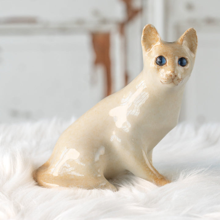 【Winstanley Cat ウィンスタンレイ キャット】すらりとしたフォルムが優雅 ブルーアイ レッドポイント サイアミーズ シャム猫 /25L