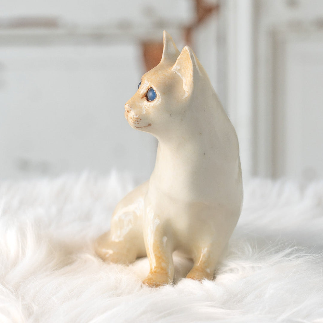 【Winstanley Cat ウィンスタンレイ キャット】すらりとしたフォルムが優雅 ブルーアイ レッドポイント サイアミーズ シャム猫 /25L