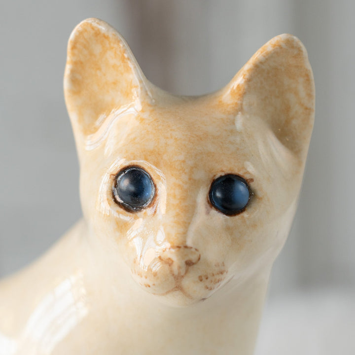 【Winstanley Cat ウィンスタンレイ キャット】すらりとしたフォルムが優雅 ブルーアイ レッドポイント サイアミーズ シャム猫 /25L