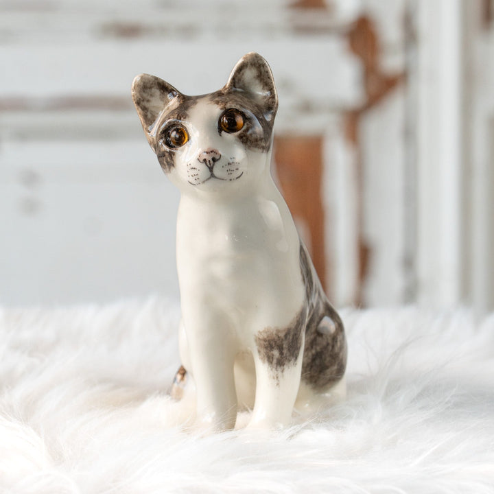 【Winstanley Cat ウィンスタンレイ キャット】大きくてキラキラした瞳に吸い込まれそう シルバータビー サバトラ猫 /25L